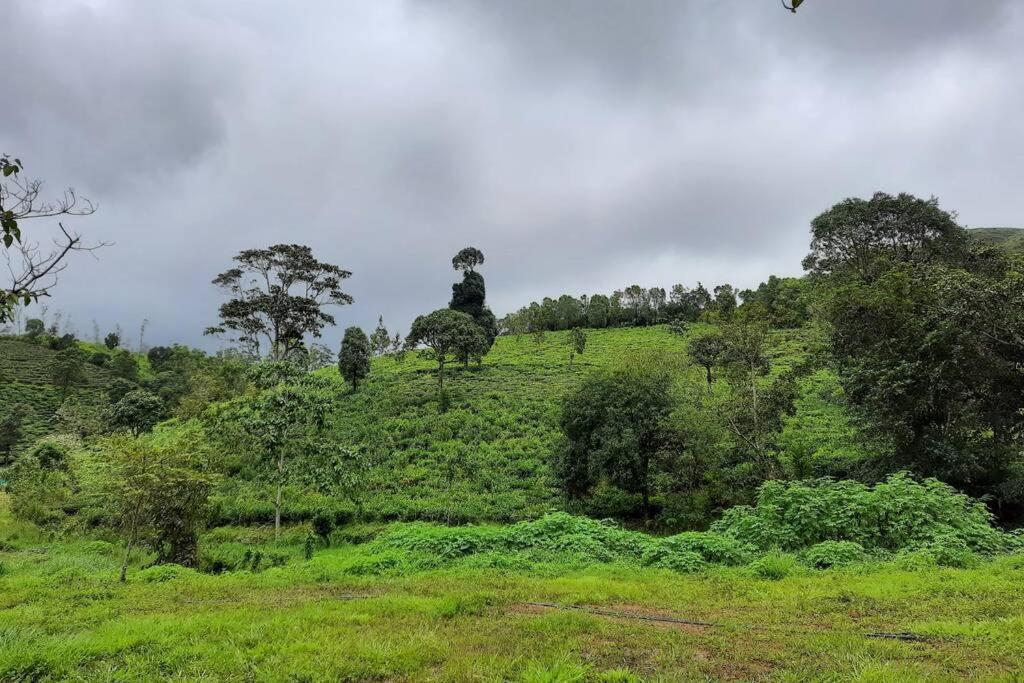 Farmstay In ചില്ലുകൂടാരം At Les Domki Et Al. Vagamon Exterior foto